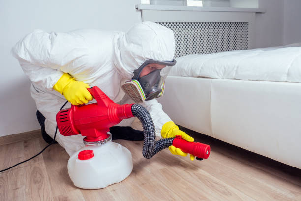 Real Estate Pest Inspections in Gaston, SC